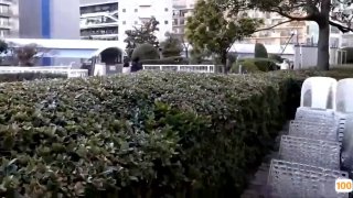 最新成人.手机游戏加速器在线a 日本一区二区在线看_国产在线精品观看一区欧美国产精品不卡在线观看_国产亚洲一区二区手机在线观看